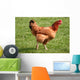 Kura Wall Decal