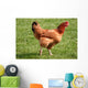 Kura Wall Decal