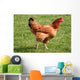 Kura Wall Decal