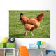 Kura Wall Decal
