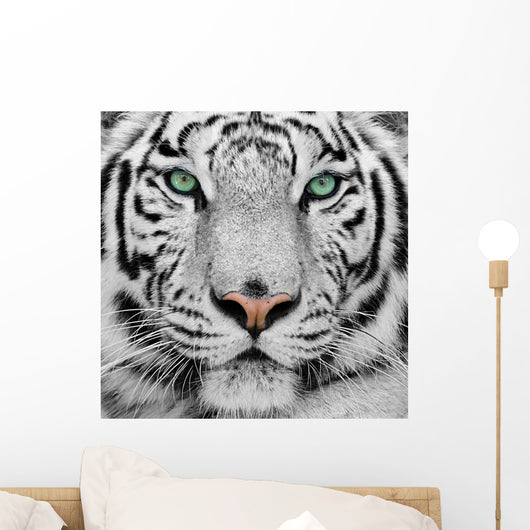 White Tiger Wall Decal