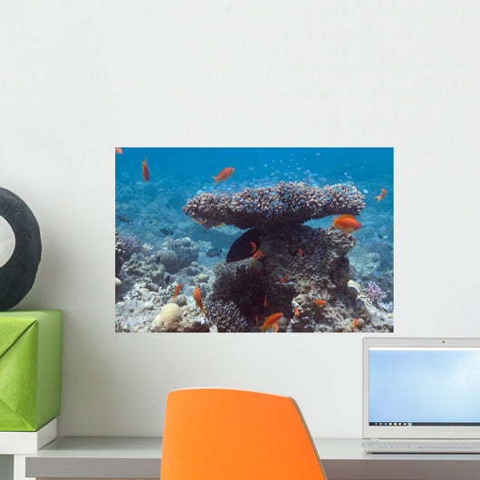 Coral Bush Wall Decal