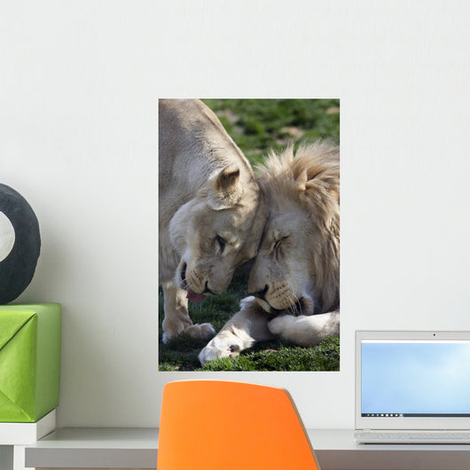Loving African Lions Wall Decal