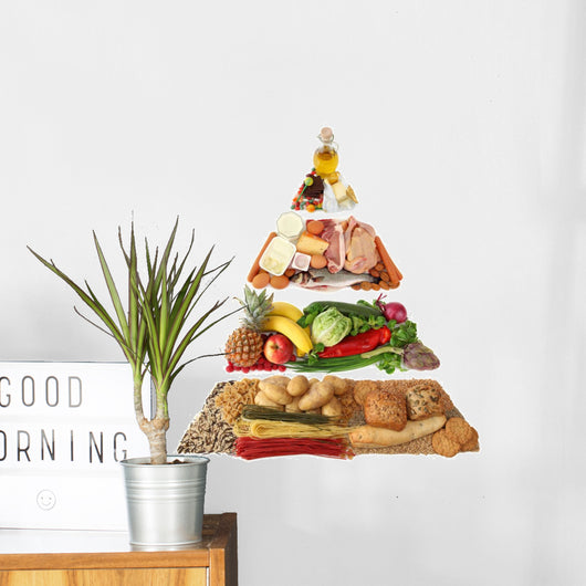 Food Pyramid White Wall Decal