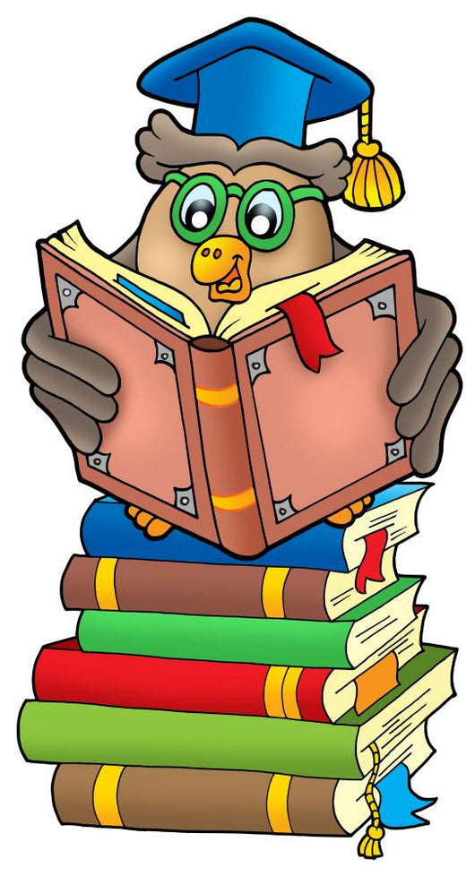Reading Owl Teacher Books Wall Decal
