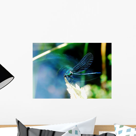 Insecte Artistique Wall Decal