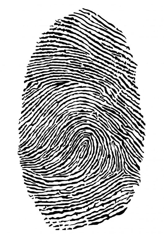 Fingerprint Wall Decal Design 2