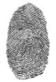 Fingerprint Wall Decal Design 2