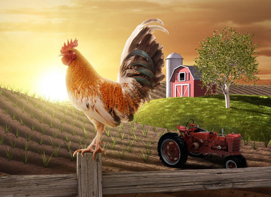 Country Farm Morning Wall Decal