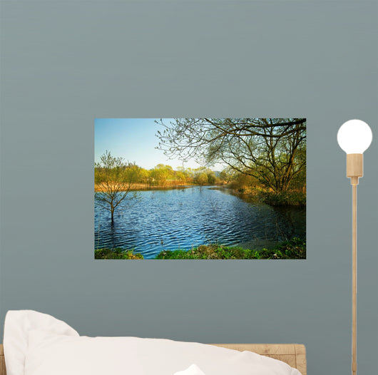 Pond Wall Decal