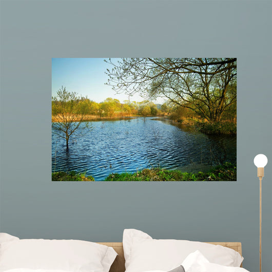 Pond Wall Decal