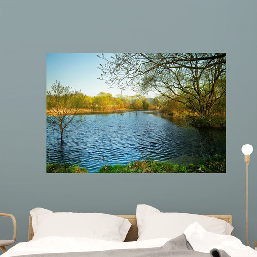 Pond Wall Decal