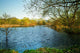 Pond Wall Decal