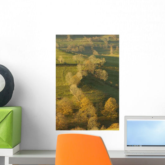 Autumn Landscapes Wall Decal
