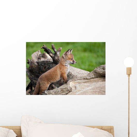 Red Fox Countryside Wall Decal
