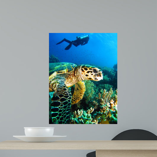 Weightlessness Wall Decal