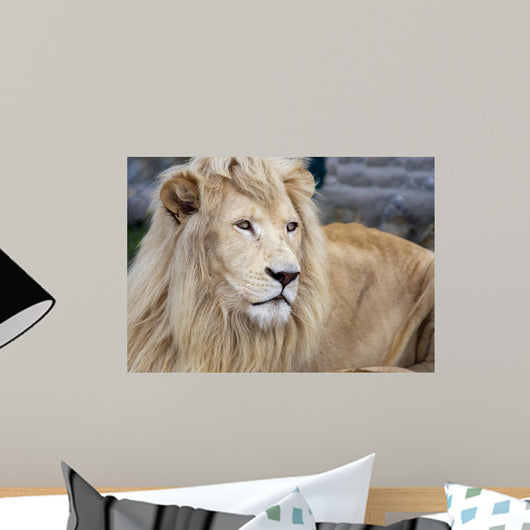 White Lion Wall Decal