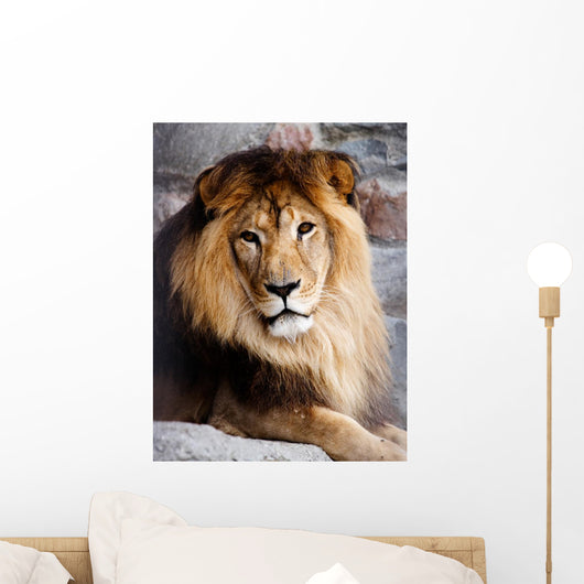 Lion Wall Decal Design 2