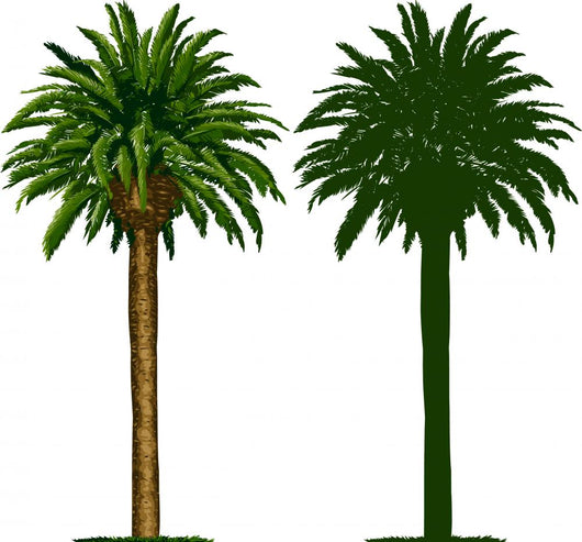 California Palm Trees Wall Decal