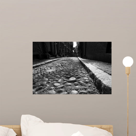 Acorn Street Early America Wall Decal