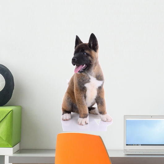 Akita Purebred Puppy White Wall Decal