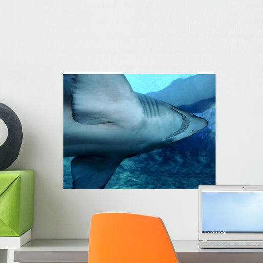 Shark Wall Decal