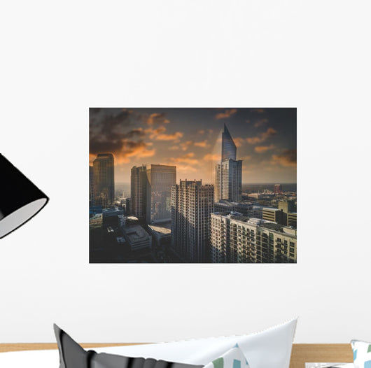 North Carolina Aerial Wall Decal