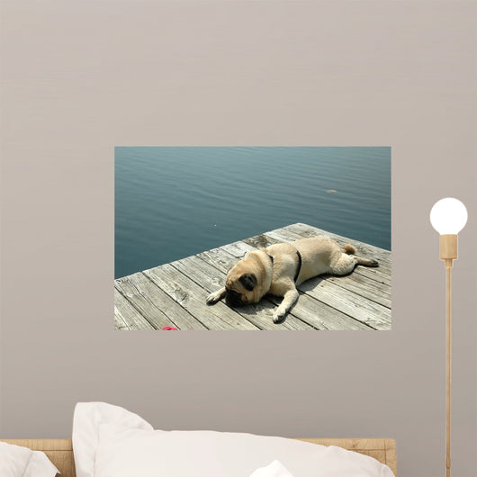 Dock Pug Wall Decal
