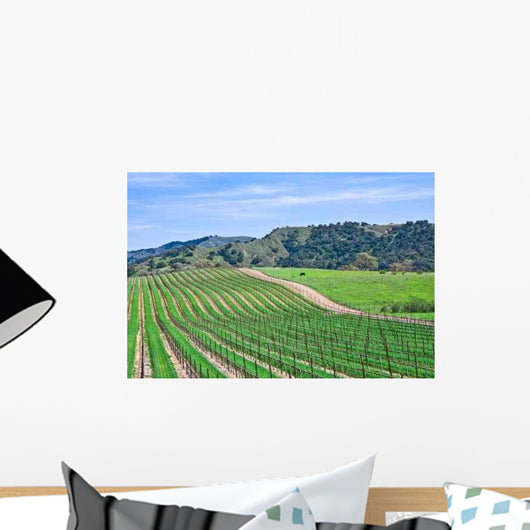 California Vineyard Wall Decal