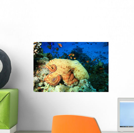 Reef Octopus (Octopus cyaneus) and Tropical Fish Wall Mural