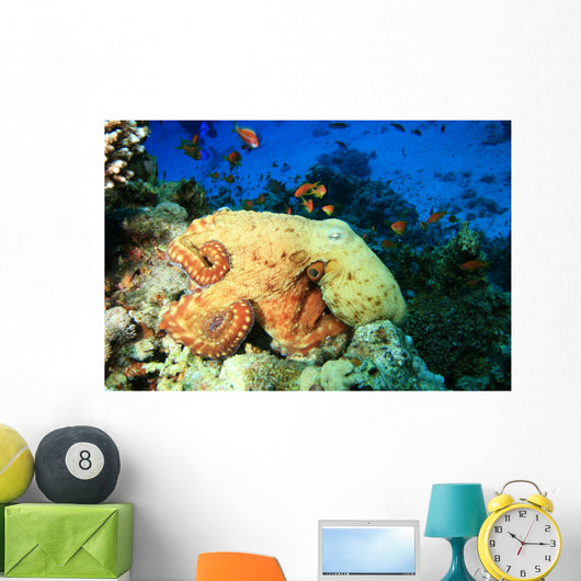 Reef Octopus (Octopus cyaneus) and Tropical Fish Wall Mural