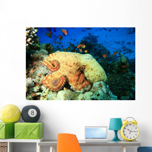 Reef Octopus (Octopus cyaneus) and Tropical Fish Wall Mural