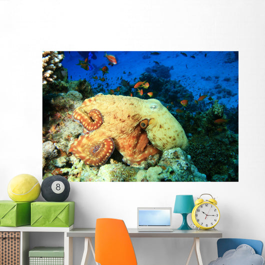 Reef Octopus (Octopus cyaneus) and Tropical Fish Wall Mural
