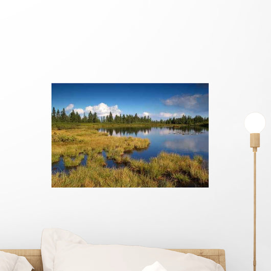 Mountain Lake Wall Decal Design 2