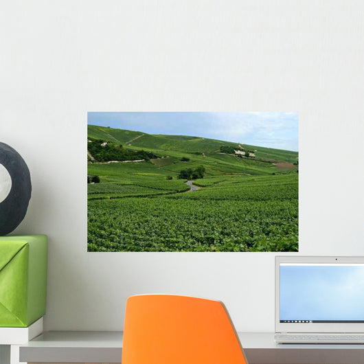 Vineyard France Wall Decal