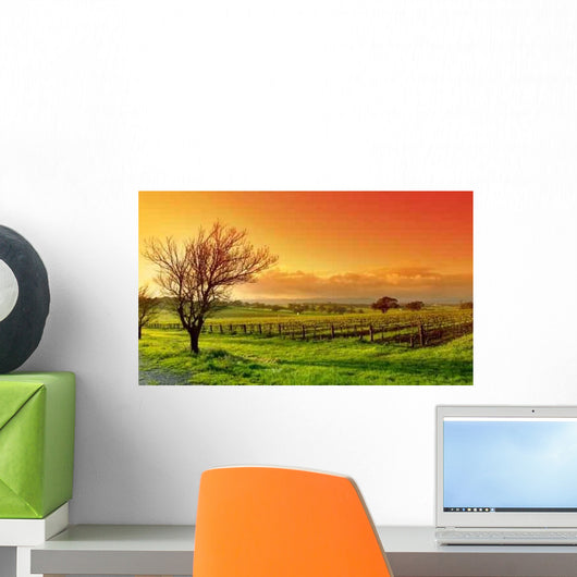 Vineyard Landscape Wall Decal