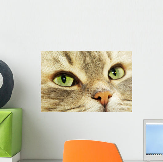Cat Wall Decal