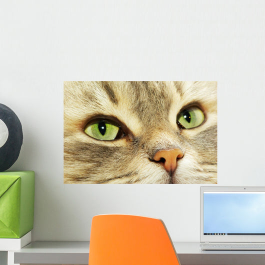 Cat Wall Decal