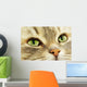 Cat Wall Decal