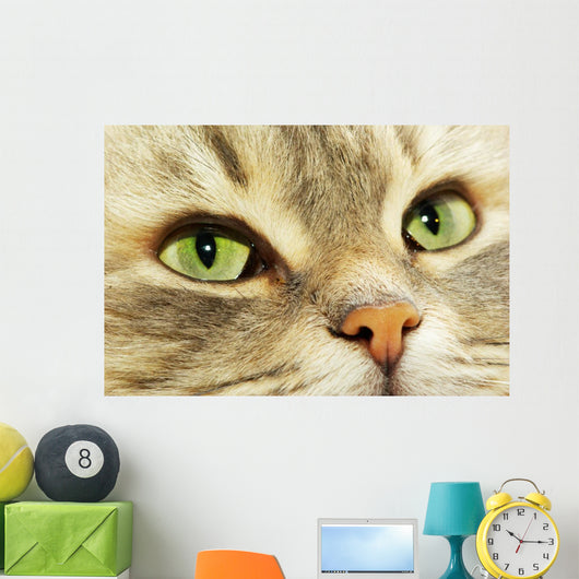 Cat Wall Decal