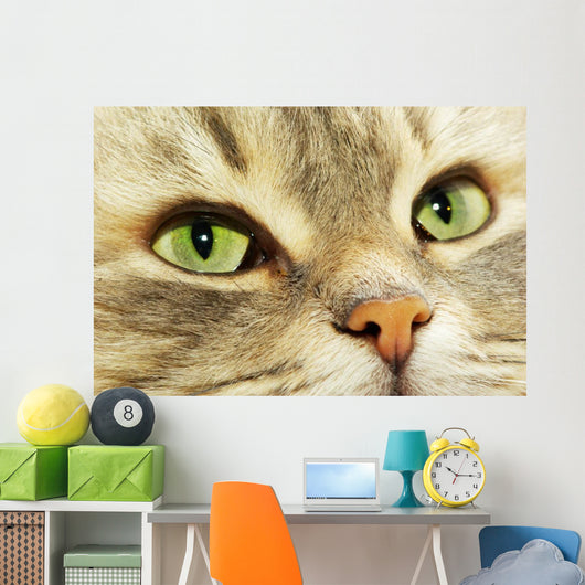 Cat Wall Decal