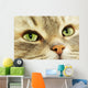 Cat Wall Decal