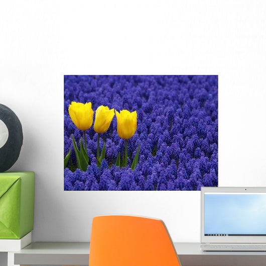 Three Yellow Tulips Wall Decal