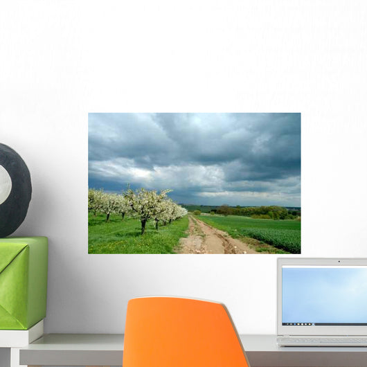 Cherry Garden Spring Germany Wall Decal