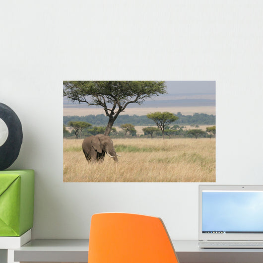Elephant Wall Decal Design 3