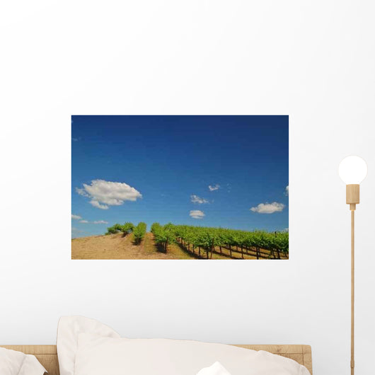 Vineyard Wall Decal