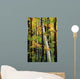 Tall Trees Forest Wall Decal