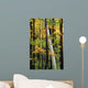 Tall Trees Forest Wall Decal