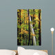 Tall Trees Forest Wall Decal