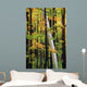 Tall Trees Forest Wall Decal